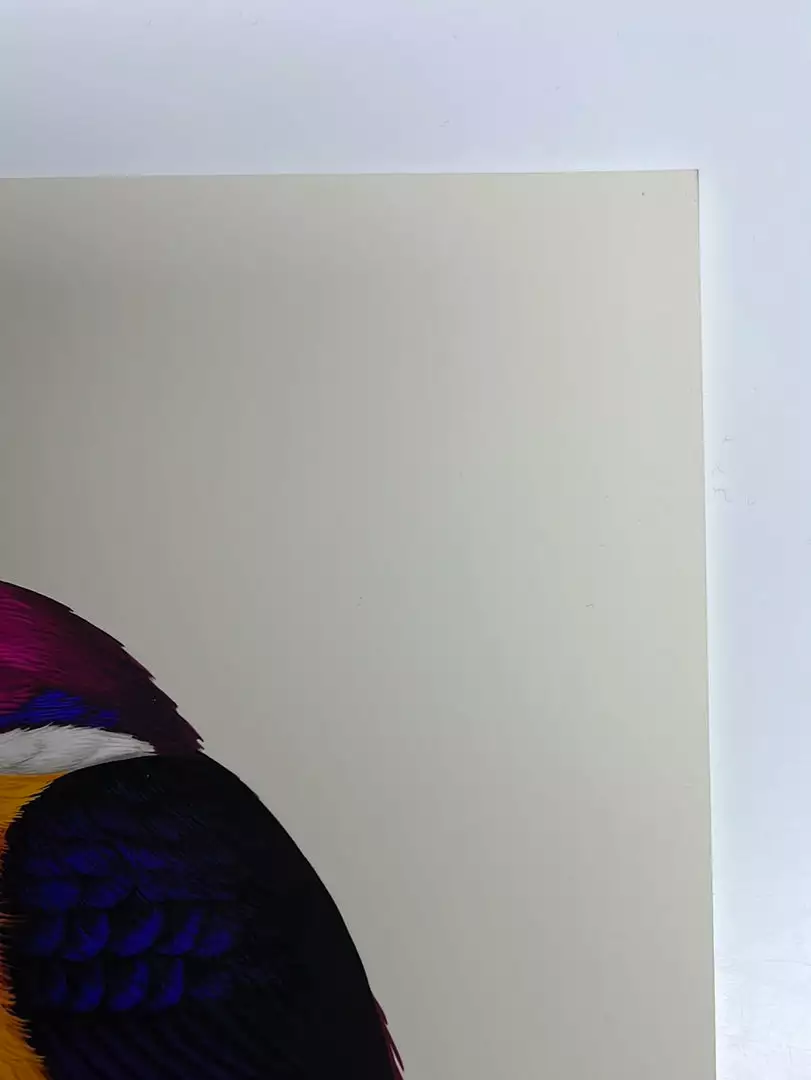 Fat Bird - 2020 Mike Mitchell Poster Rufous-Backed Dwarf Kingfisher AP Art Prints 6 Fat Bird - 2020 Mike Mitchell Poster Rufous-Backed Dwarf Kingfisher AP Art Prints