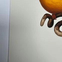 Fat Bird - 2020 Mike Mitchell Poster Rufous-Backed Dwarf Kingfisher AP Art Prints 13 Fat Bird - 2020 Mike Mitchell Poster Rufous-Backed Dwarf Kingfisher AP Art Prints