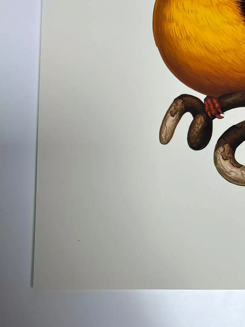 Fat Bird - 2020 Mike Mitchell Poster Rufous-Backed Dwarf Kingfisher AP Art Prints 8 Fat Bird - 2020 Mike Mitchell Poster Rufous-Backed Dwarf Kingfisher AP Art Prints