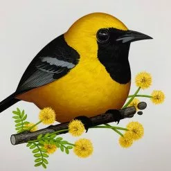 Fat Bird - 2019 Mike Mitchell Poster Print SDCC Hooded Oriole AP