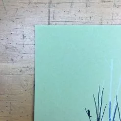 Flatstock 21 - 2009 Jay Ryan Poster Chicago, IL Union Park