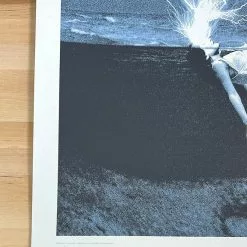 The Dead Weather - 2010 Rob Jones Poster Chicago, IL Congress Theater 13 The Dead Weather - 2010 Rob Jones Poster Chicago, IL Congress Theater