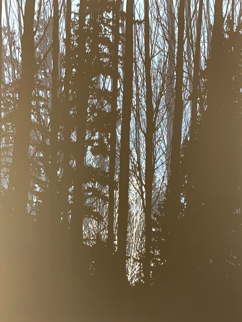 A Night In The Forest - 2010 Dan McCarthy Poster Art Print 3 A Night In The Forest - 2010 Dan McCarthy Poster Art Print