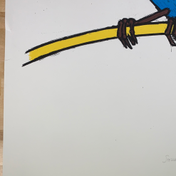 Steller's Jay - 2010 Jay Ryan Art Print Art Prints