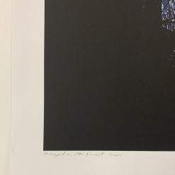 A Night In The Forest - 2010 Dan McCarthy Poster Art Print 13 A Night In The Forest - 2010 Dan McCarthy Poster Art Print