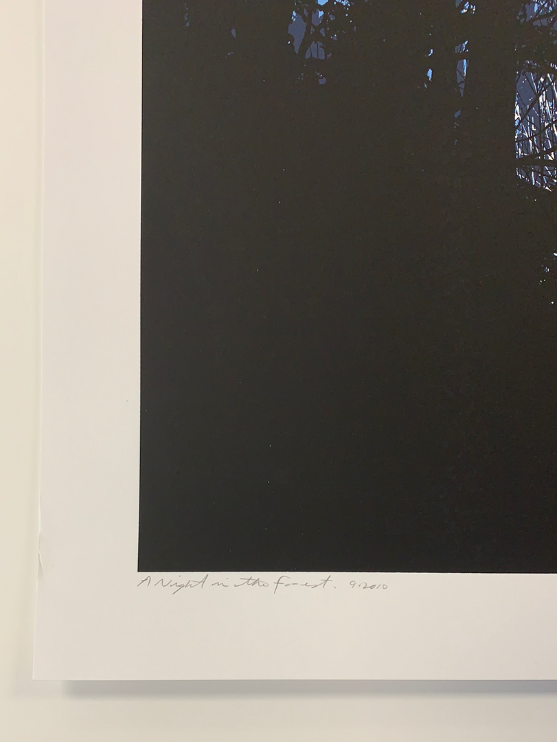 A Night In The Forest - 2010 Dan McCarthy Poster Art Print 8 A Night In The Forest - 2010 Dan McCarthy Poster Art Print