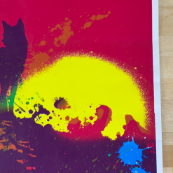 Widespread Panic - 2007 Chris Bilheimer Poster Loveland, CO Colorado