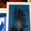 Test Print 3 Pack - Dan McCarthy Posters Art Prints White Tree Woods Jurrasic 1/1