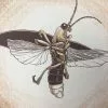 Common Firefly (Photinus Pyralis) - 2015 Justin Santora Poster Art Print