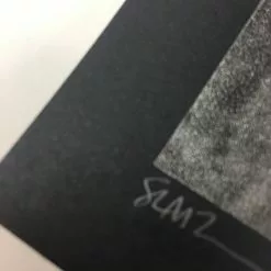 Gig Posters The Dead Weather - 2009 Todd Slater Poster Seattle, WA Paramount Theatre