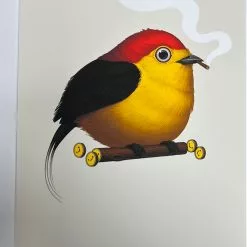 Fat Bird - 2019 Mike Mitchell Poster Wire-tailed Manakin Variant