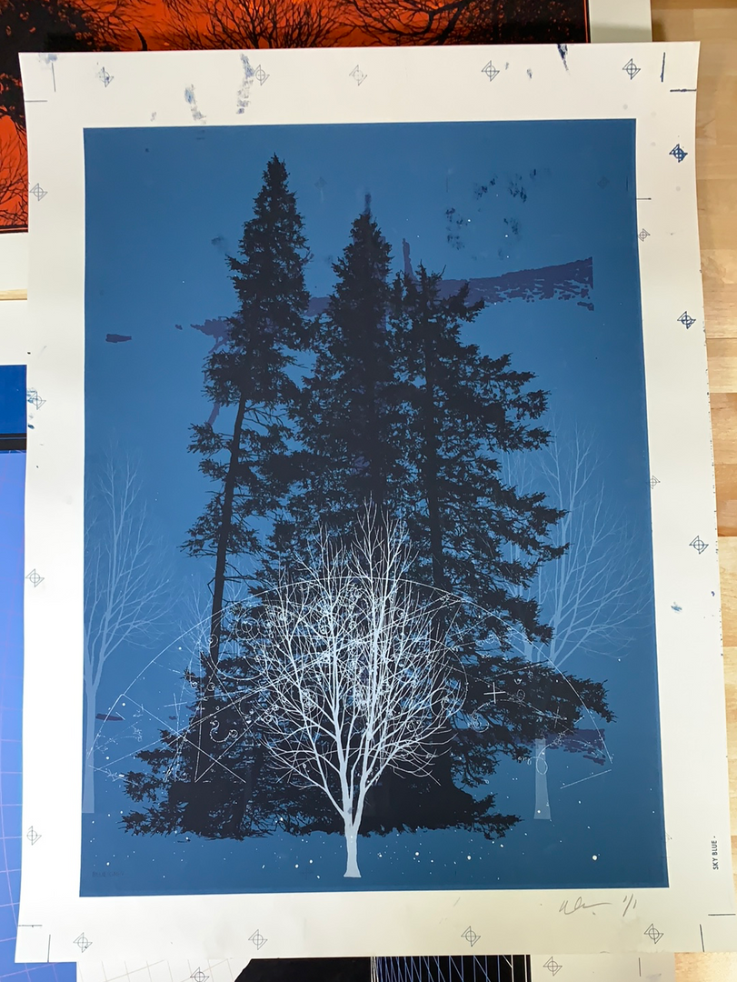 Test Print 3 Pack - Dan McCarthy Posters Art Prints White Tree Woods Jurrasic 1/1 4 Test Print 3 Pack - Dan McCarthy Posters Art Prints White Tree Woods Jurrasic 1/1