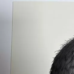 Virginia Opossum - 2018 Mike Mitchell Poster Art Print Variant