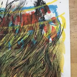 Phish - 2011 Dan Grzeca Poster Chicago, IL UIC TEST Print