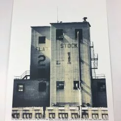 Flatstock 21 - 2009 Dan MacAdam Crosshair Poster Chicago, IL Union Park