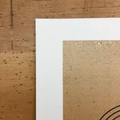 Umphrey's McGee - 2016 Delicious Design League Poster Madison, WI Orpheum Theate