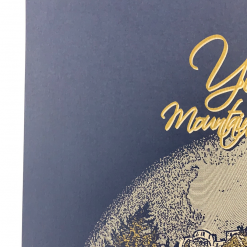 Colorado Yonder Mountain String Band - 2010 Brian Langeliers Poster Telluride, CO