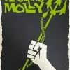 Gig Posters Flogging Molly - 2006 Todd Slater Poster Dallas, TX