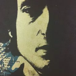 Gig Posters Bob Dylan - 2013 Xray Poster Art Print