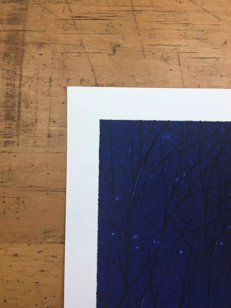 Flatstock 13 - 2007 Daniel Danger Poster Chicago, IL Union Park 6 Flatstock 13 - 2007 Daniel Danger Poster Chicago, IL Union Park