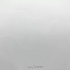 Art Prints Long Deserved - 2008 Mike Budai Poster Art Print