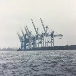 Cranes - 2011 Dan MacAdam Crosshair Poster Art Print Art Prints