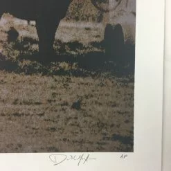 The Last Buffalo Hunt - 2011 Dan MacAdam Crosshair Poster Art Print