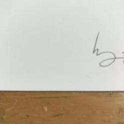 Fat Bird - 2017 Mike Mitchell Poster Himalayan Bulbul Art Prints 13 Fat Bird - 2017 Mike Mitchell Poster Himalayan Bulbul Art Prints