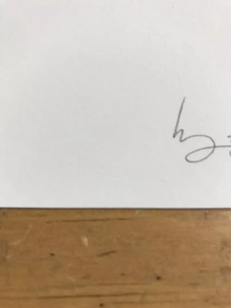 Fat Bird - 2017 Mike Mitchell Poster Himalayan Bulbul Art Prints 7 Fat Bird - 2017 Mike Mitchell Poster Himalayan Bulbul Art Prints