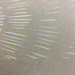 Gig Posters Andrew Bird - 2009 Jay Ryan Poster New York City, NY Radio City Music Hall