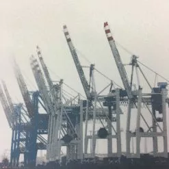 Cranes - 2011 Dan MacAdam Crosshair Poster Art Print Art Prints