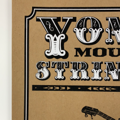 Gig Posters Yonder Mountain String Band - 2009 Jaime Cervantes Poster Spring Tour