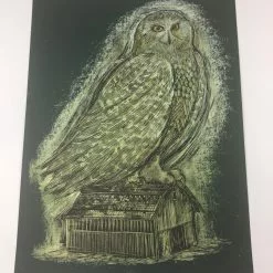 Reconstructed Snowy Owl - Dan Grzeca Poster Art Print Art Prints