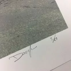 Flatstock 40 - 2013 Dan MacAdam Crosshair Poster Chicago, IL Union Park