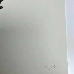 Virginia Opossum - 2018 Mike Mitchell Poster Art Print Variant