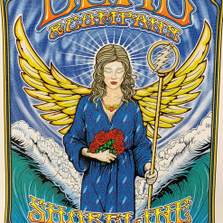 Gig Posters Dead & Company - 2016 Dave Hunter Poster Mountain View, CA Summer Tour