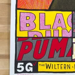 Black Pumas - 2020 Jay Ryan Poster The Wiltern Los Angeles, CA 13 Black Pumas - 2020 Jay Ryan Poster The Wiltern Los Angeles, CA