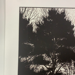 Art Prints What Once Was 2 - 2010 Dan McCarthy Poster Art Print