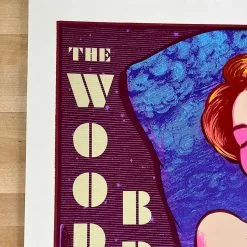 The Wood Brothers - 2016 Kyle Baker Poster Northeast Tour