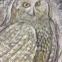 Reconstructed Snowy Owl - Dan Grzeca Poster Art Print Art Prints