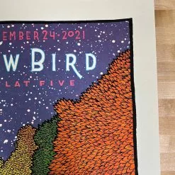 Art Prints Andrew Bird - 2021 Jay Ryan Poster Ravinia Highland Park, IL