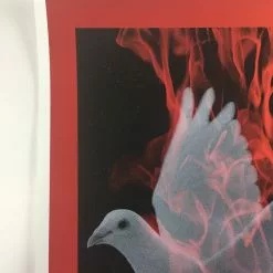 Birth Of A Phoenix #1 - 2010 Todd Slater Poster Art Print Art Prints