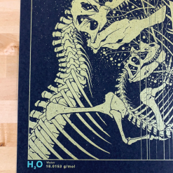 H2O - 2017 Dan McCarthy Poster Art Print Water