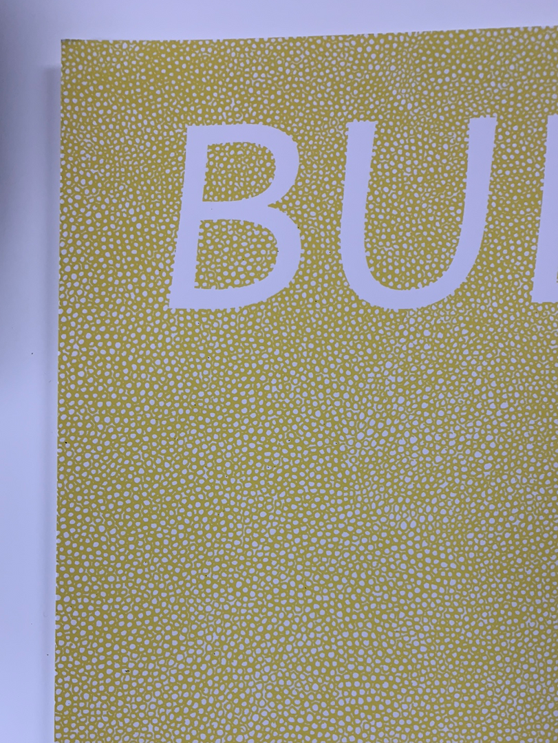 Bully - 2016 Fugscreens Studios Poster Chicago, IL Empty Bottle 5 Bully - 2016 Fugscreens Studios Poster Chicago, IL Empty Bottle