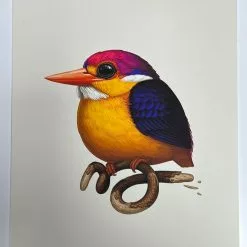 Fat Bird - 2020 Mike Mitchell Poster Rufous-Backed Dwarf Kingfisher AP Art Prints 9 Fat Bird - 2020 Mike Mitchell Poster Rufous-Backed Dwarf Kingfisher AP Art Prints