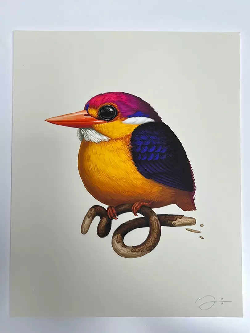 Fat Bird - 2020 Mike Mitchell Poster Rufous-Backed Dwarf Kingfisher AP Art Prints 4 Fat Bird - 2020 Mike Mitchell Poster Rufous-Backed Dwarf Kingfisher AP Art Prints