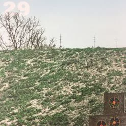 Flatstock 29 - 2011 Dan MacAdam Crosshair Poster Austin, TX Austin Convention Ce Gig Posters