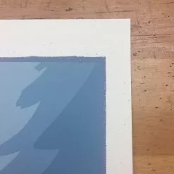 Art Prints Wombats In The Mist - 2009 Jay Ryan Poster Manchester, GBR RGG