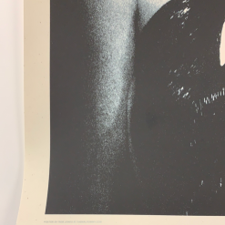 The Dead Weather 2009 Rob Jones Poster (with Damage) Chicago Vic Night 2 S/N Chicago, IL