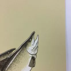 Art Prints Salmon Run - 2015 Justin Santora Poster Art Print